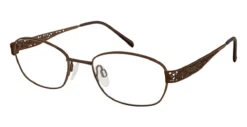 Aristar AR 16341 Glasses