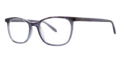 Vera Wang VA38 Glasses