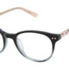 Ted Baker B981 Glasses