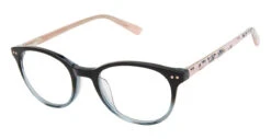 Ted Baker B981 Glasses