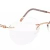 Silhouette 5521 EP Shape Glasses