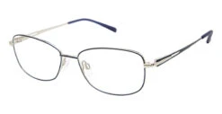 Aristar AR 30813 Glasses