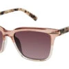 Ted Baker TWS208 Glasses