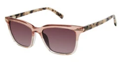 Ted Baker TWS208 Glasses
