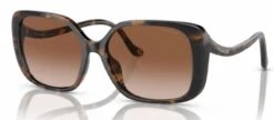 Coach HC8376U CL929 Glasses -Silhouette || Pure Shop hc8376u cl929 dark tortoise