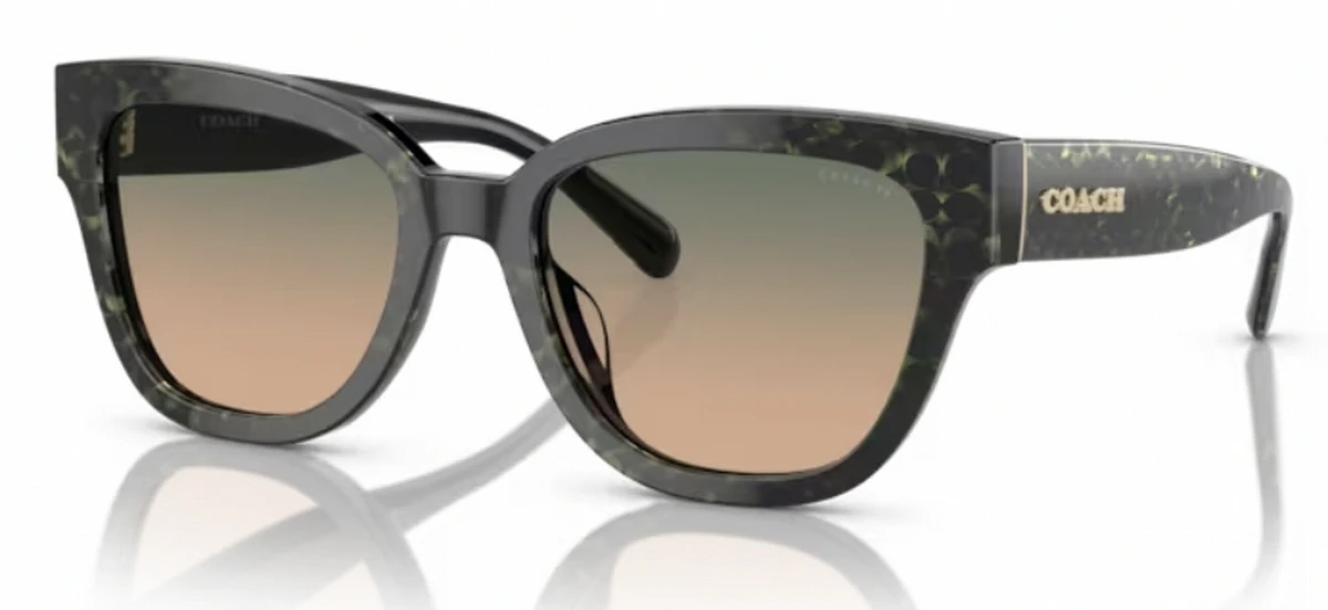 Coach HC8379F CL921 Glasses 1 Coach HC8379F CL921 Glasses