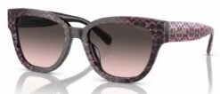 Coach HC8379F CL921 Glasses 6 Coach HC8379F CL921 Glasses -Silhouette || Pure Shop hc8379f cl921 ruby pearl signature c