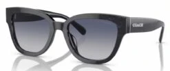 Coach HC8379U CL920 Glasses -Silhouette || Pure Shop hc8379u cl920 sapphire pearl signature