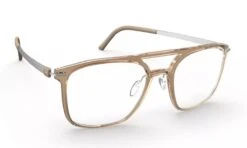 Silhouette Infinity View 2951 Glasses