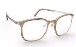 Silhouette Infinity View 2952 Glasses